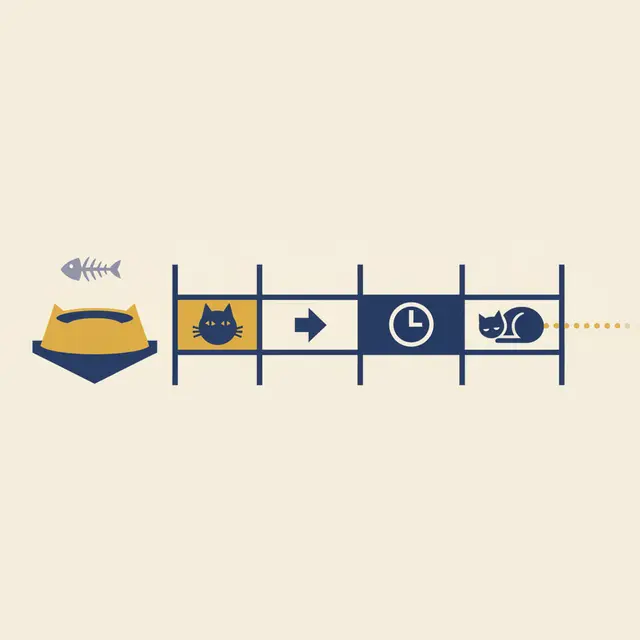 How Long Can a Cat Go Without Food? What the Timeline Really Means